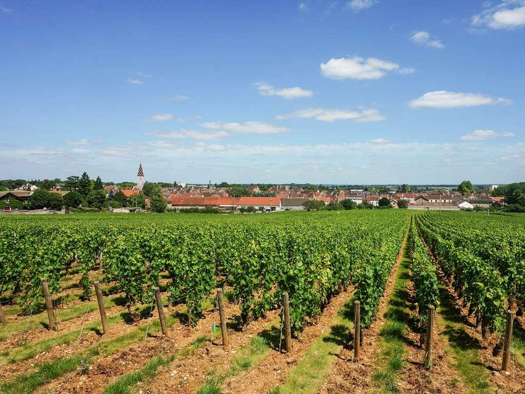 Ibis Budget Nuits Saint Georges Facilidades foto